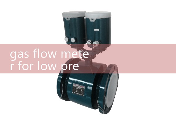 gas flow meter for low pressure sccm